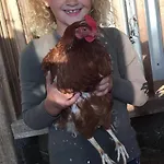 Hof Hintererb
