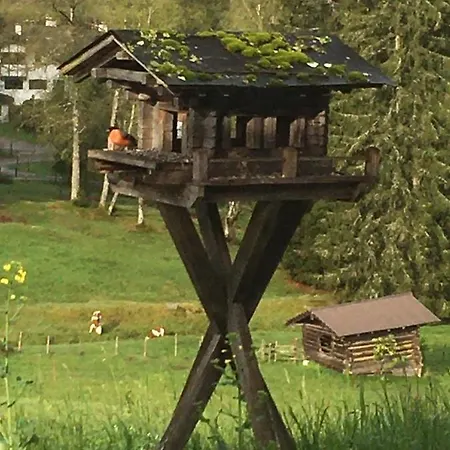 Hof Hintererb Кицбюэль