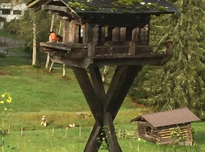 Hof Hintererb Kitzbühel