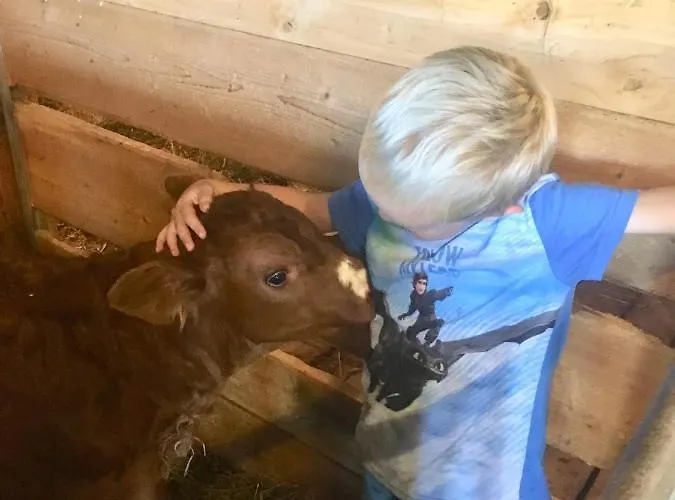 Hof Hintererb * Kitzbühel