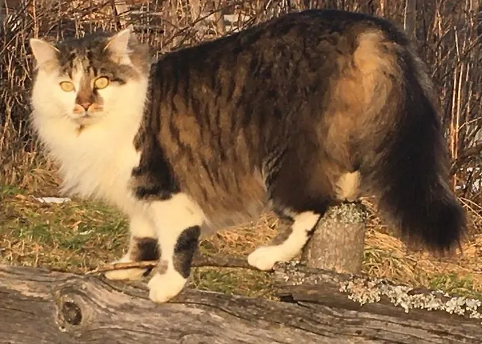 Farm stay Hof Hintererb *