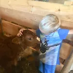 Hof Hintererb * Kitzbuhel